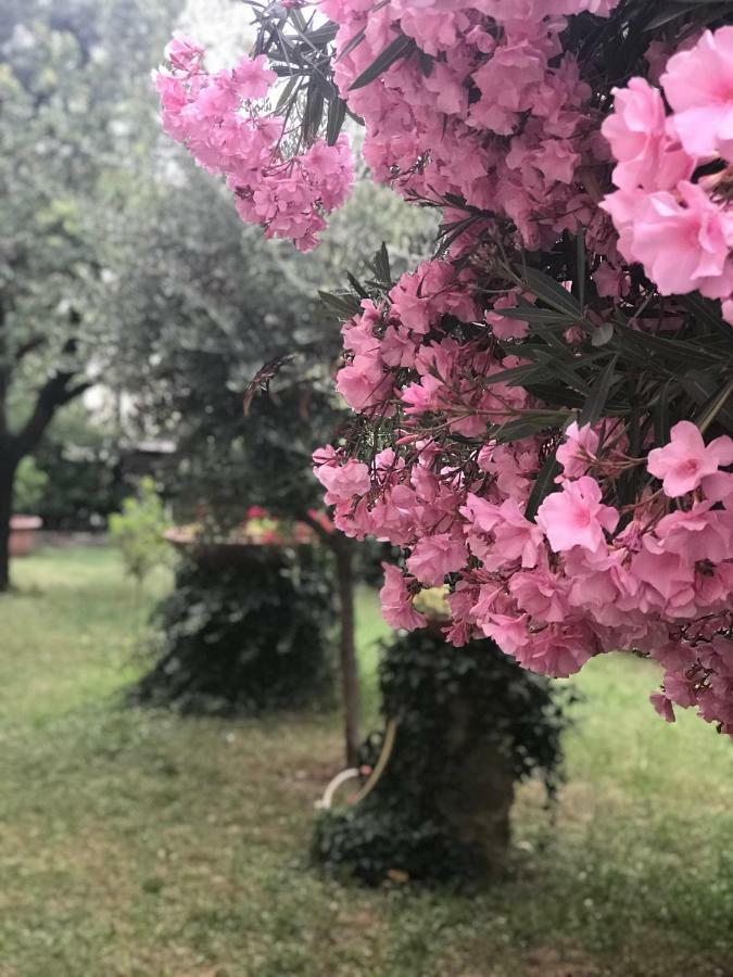 La Casa Di Claudia Villa Floransa Dış mekan fotoğraf